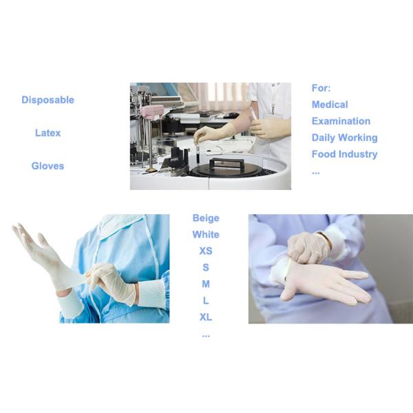 Large Size Latex Disposable Protective Gloves White Box Packing Non Sterile