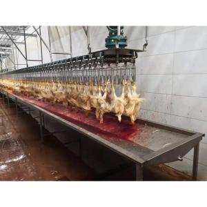 Automatic Small Poultry Abattoir Equipment Stainless Steel Chicken Mobile