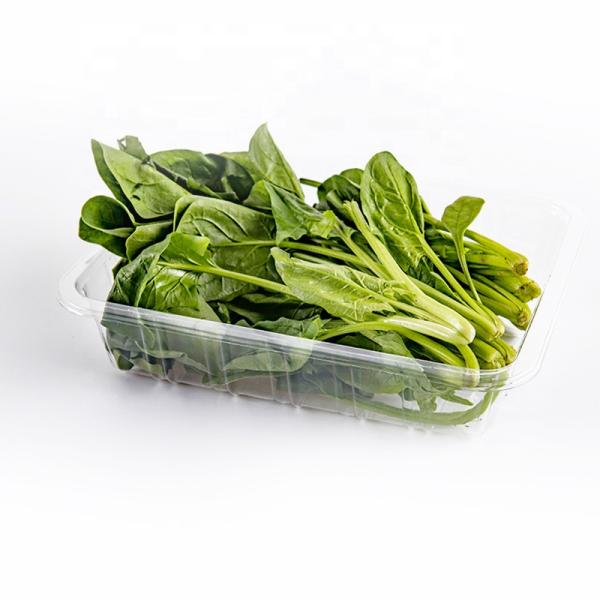 Corn Packaging 22*17*5cm Disposable Vegetable Containers