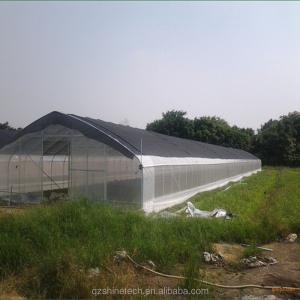 Film Covered Single Span Agricultural Greenhouse For Hydroponic Crop Cultivation