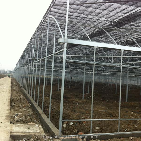 Intelligent Greenhouse For Tomato Cultivation Multi Span Film Green House By Shine Tech