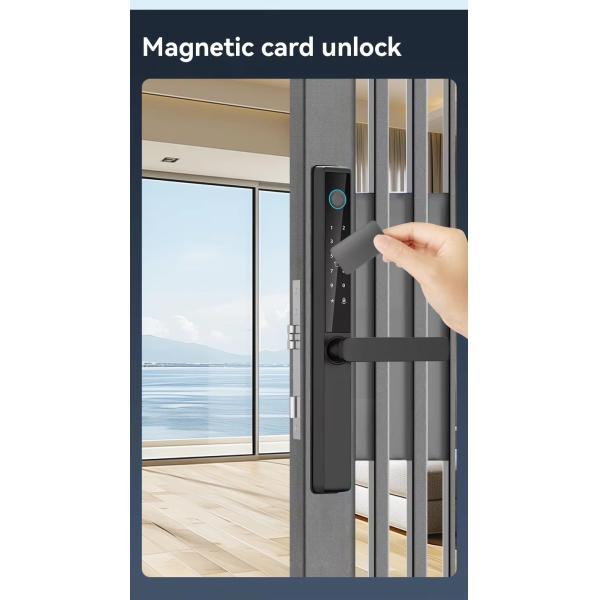 Qleung S960 Digital Glass Door Lock With Fingerprint Recognition Password Card Key Phone APP