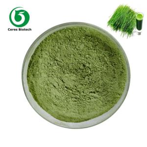 China Antioxidant Dried Vegetable Powder Wheat Grass Juice Powder Food Grade on sale