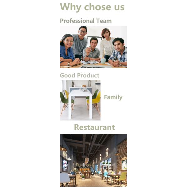 High Durability Wooden Dining Chairs , Modern Plastic Training Chair