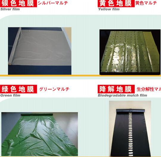 230-250 micron durable white/black reflect mulch films ,silo bag,grain silo bags,compostable mulch biodegradable film wi