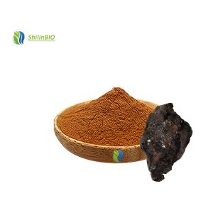 Food Grade Supplements Shilajit Extract 50% Fulvic Acid Powder