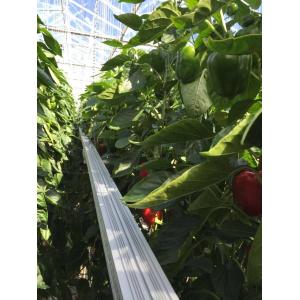 750nm 3000k Grow Light Outdoor LED Bar 2.9μmol/J UV Light For Plants