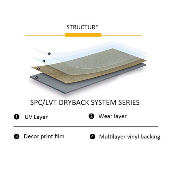 Commercial Dry Back Vinyl Flooring High Gloss Non Slip