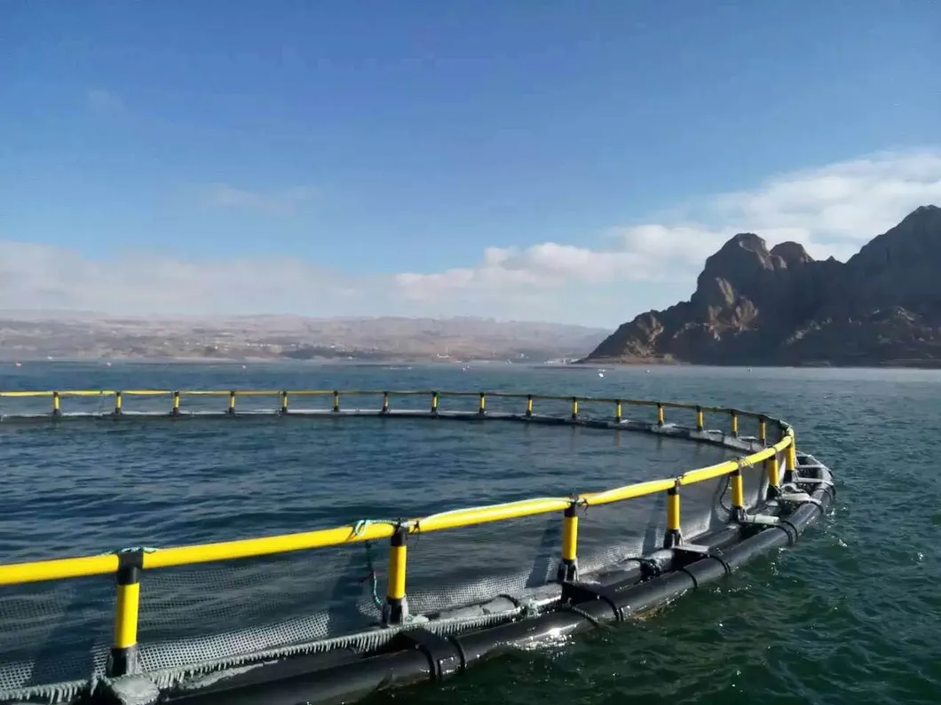 Round Floating Aquaculture Equipment System Fish Farming Cages for Trout