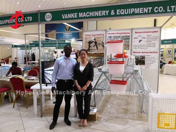 Professional Layer Battery Cage Install In Nigeria Automatic Chicken Cage Doris