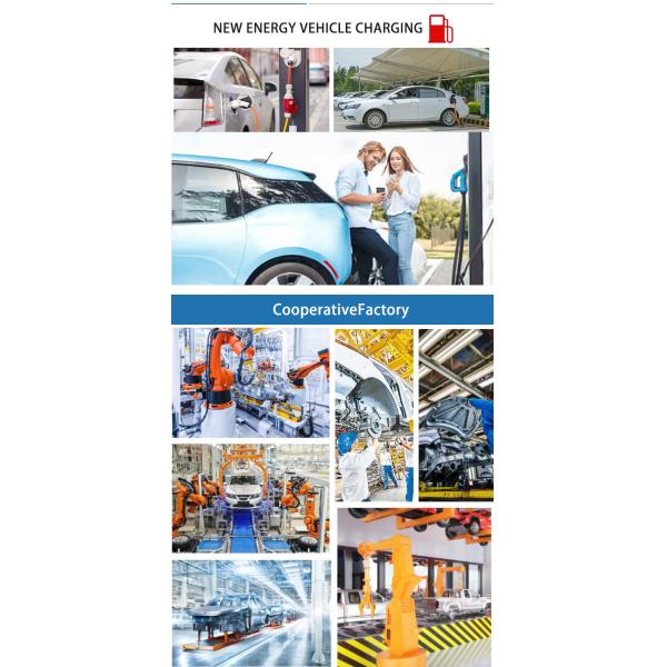 Pure All Electric Vehicle powerful safest compact SUV New Energy