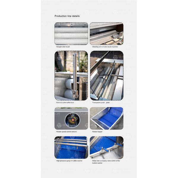 Multifunctional Vegetable And Fruit Processing Line Hair Roller Bubble Cleaning Production Line
