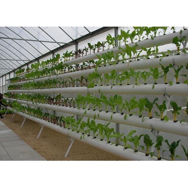 Space Saving Vertical Nft Hydroponic System Eco Friendly Recycles Water Resources