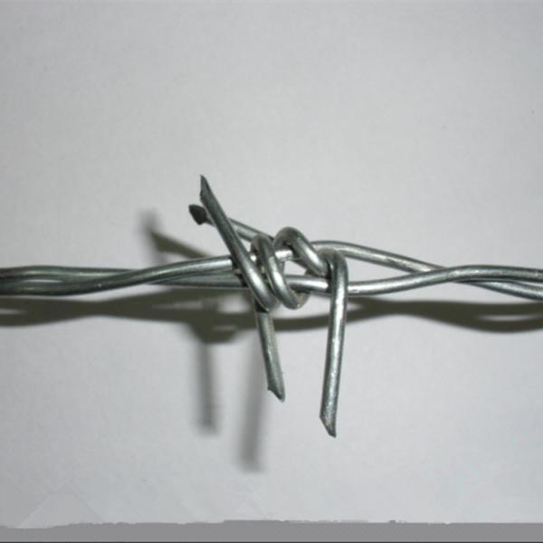 Electro Galvanized BWG12x12 Barbed Concertina Wire for Security Fencing