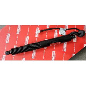 Tesla Model 3 Power Tailgate Strut 450-500N 1551488-98-B 2021-2022