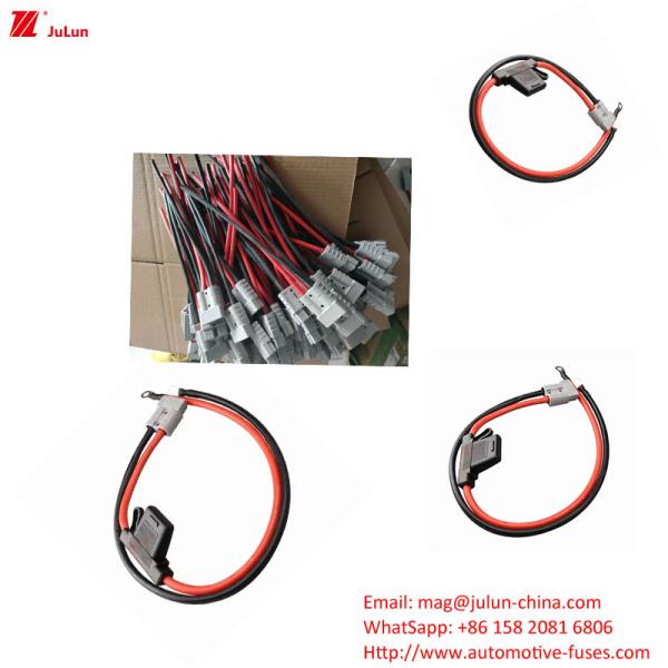 EU UL Standard Electric Vehicle Fuse Holder Current 30A-100A Plastic / Nylon Housing