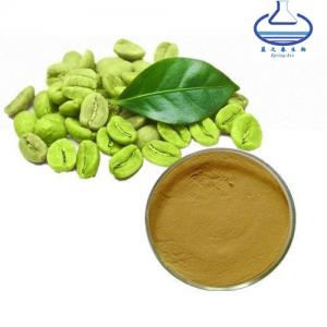 China Food Grade 50% Chlorogenic Acid Green Coffee Bean Extract Powder Anti Oxidation on sale
