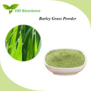 Quality Natural Green Barley Grass Extract Powder With Kosher Certified for sale