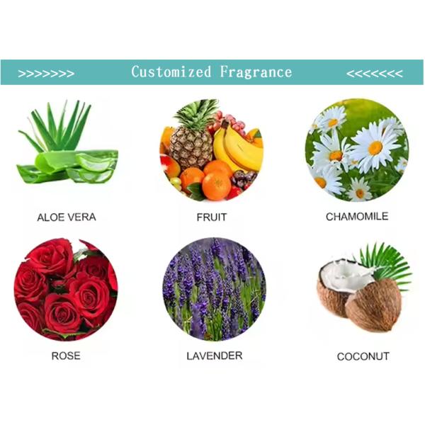 Wholesale 12 packs of 720 pieces 100% Biodegradable Water Baby Wipes