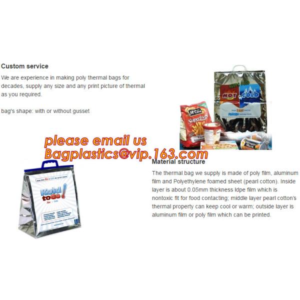 Foldable Lunch Insulated Cooler Bag Heated Food Delivery Bag Thermal Pizza Delivery Cooler Bag