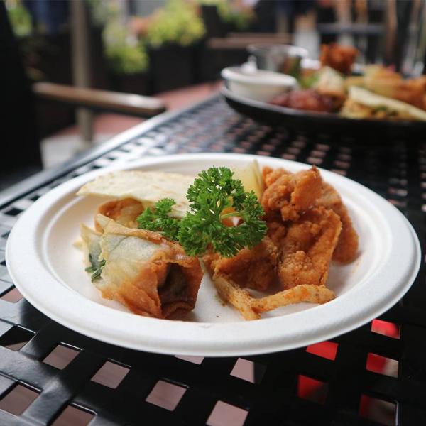 100% Compostable 8.75 Inches Natural, Biodegradable Food Plate For Food And Vegetables