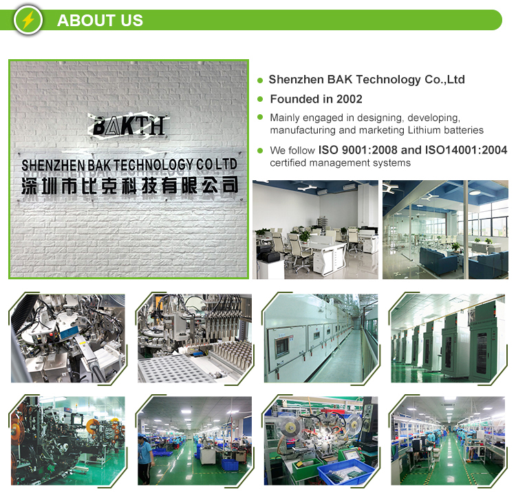 Customized 763448A-1S2P-2M 3.7V 2600mAh Rechargeable Lithium Ion Battery Pack for Snow / Ski Boots