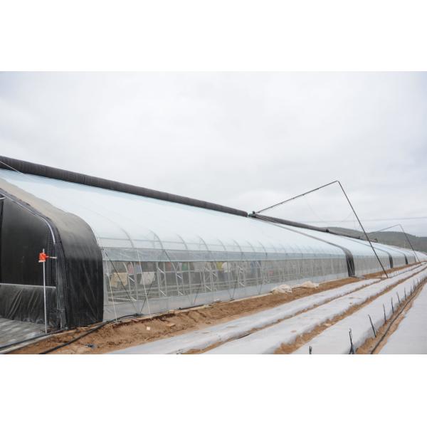 Small Energy Saving Passive Solar Greenhouse with Hot Dip Galvanized Steel Structure