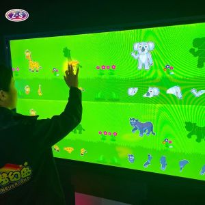 Quality Plug and Play Interactive Education Screen for Schools and Science Centers for sale