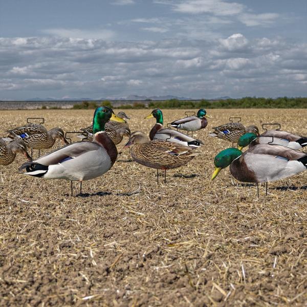 Custom PP Mallard Silhouette Decoys For Hunting Waterproof Anti Reflective Multiple Style