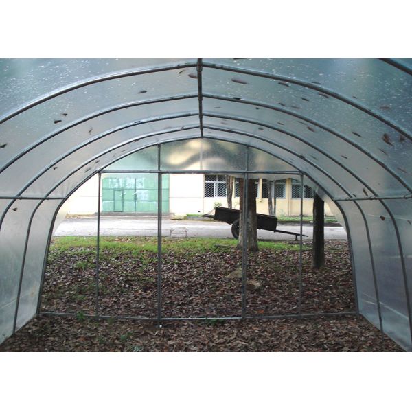 Portable Galvanized Metal Frame Poly Tunnel For Small-Scale Gardening