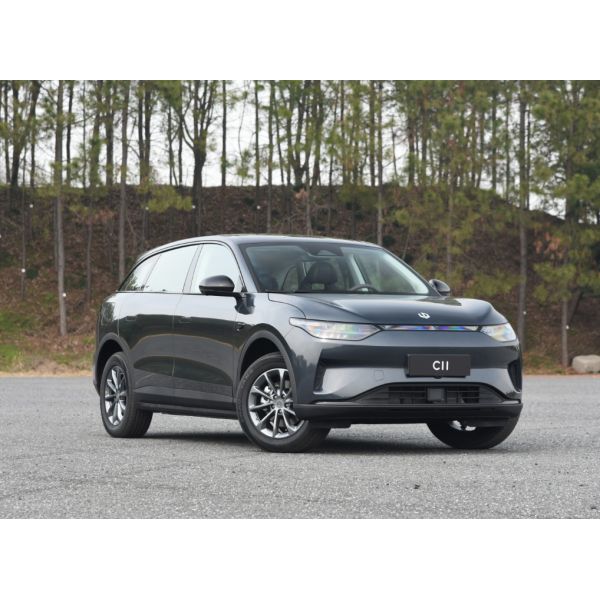 Leapmotor C11 Electric Car 170km/h Top Speed Lithium Iron Phosphate Battery and Left Drive