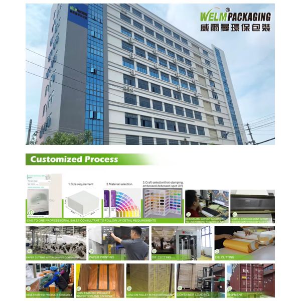 Wholesale Eco-friendly Fast Food Paper Boxes Custom Printed Logo for Burgers