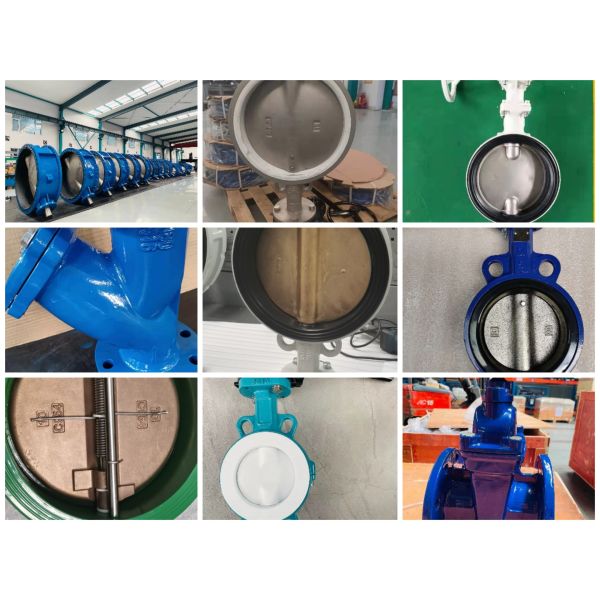 Lugged type butterfly valves manufacturer
