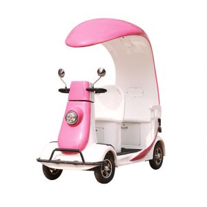 Quality Pink Blue Park Electric Mobility Scooter Sightseeing Browser for sale
