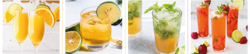 Commercial Electrical Citrus Juicer Orange Lemon Squeezer 600W 350 800 1000W