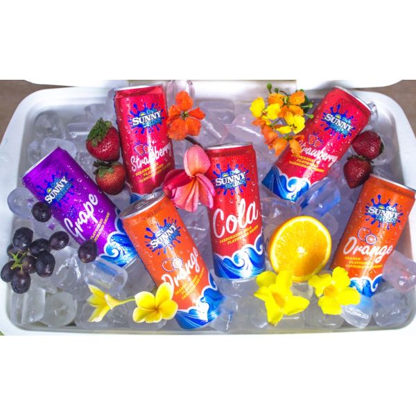 Beverage Solutions Aluminum Soft Drink Cans 12oz sleek Custom Printing OEM