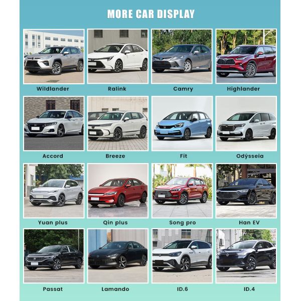 2022 BYD Dolphin EV Car Vehicles Zero Emission Vitality Edition