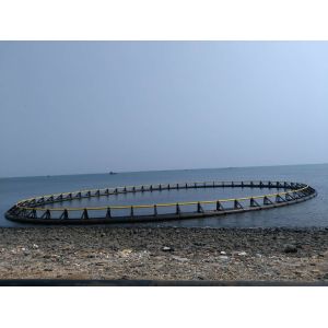 Quality Simple Circular Fish Farming Cage For Lakes Fish Culture for sale