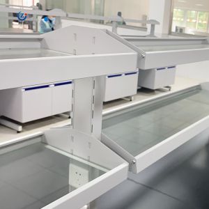 Customized Steel Lab Bench with Adjustable Handles