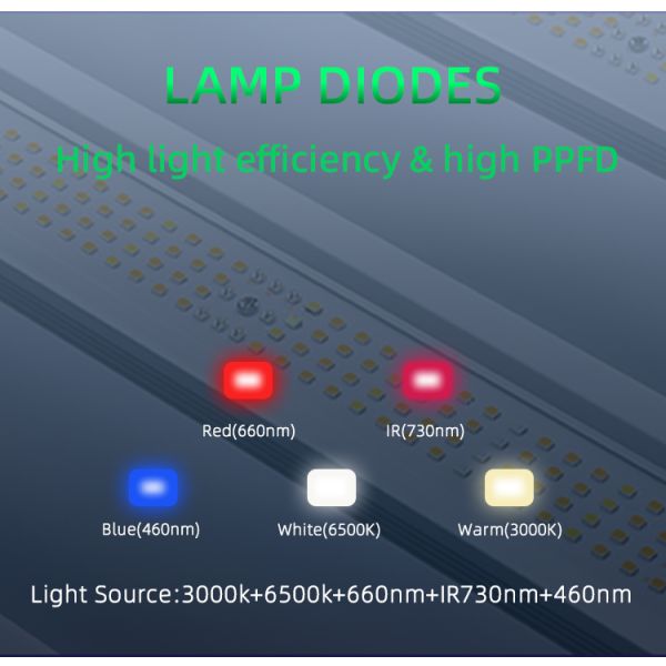 Full Spectrum LED Grow Light 800W High Yields Waterproof Hydroponic Greenhouse Farm Lm281b Plant Lamp for Seed Starting