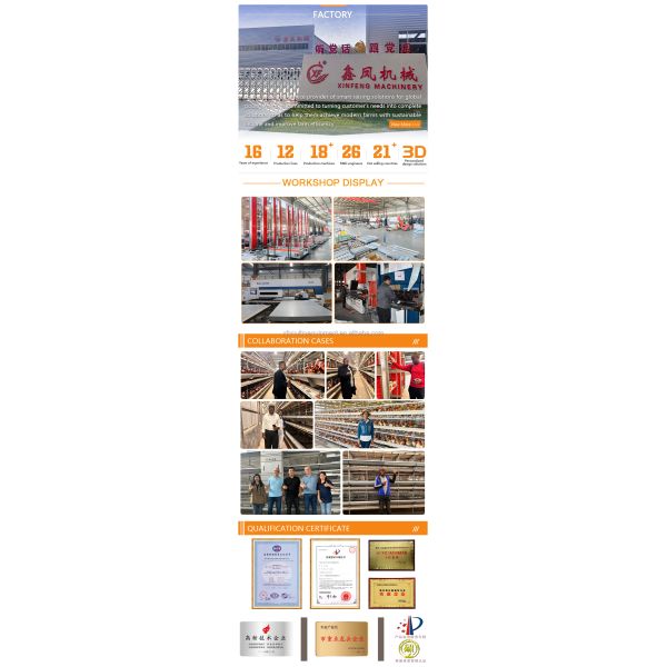 Large Metal Hen Layer House Battery Cage Run Cheap Chicken Coop for Poultry