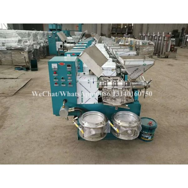 80-125kg/H Nuts Processing Machine Shea Automatic Oil Extraction Machine