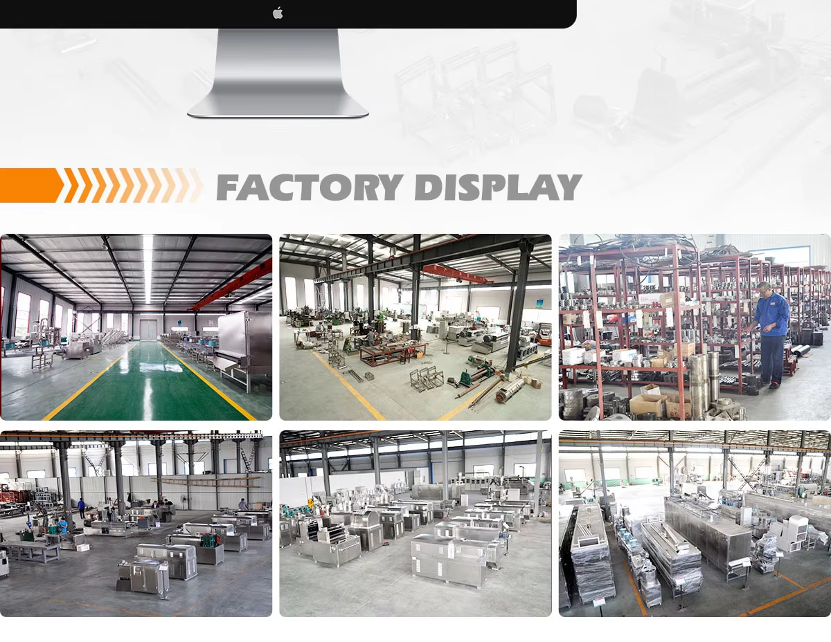 Flexible Twin Screw 200-250kg/H Pet Food Extrusion Equipment