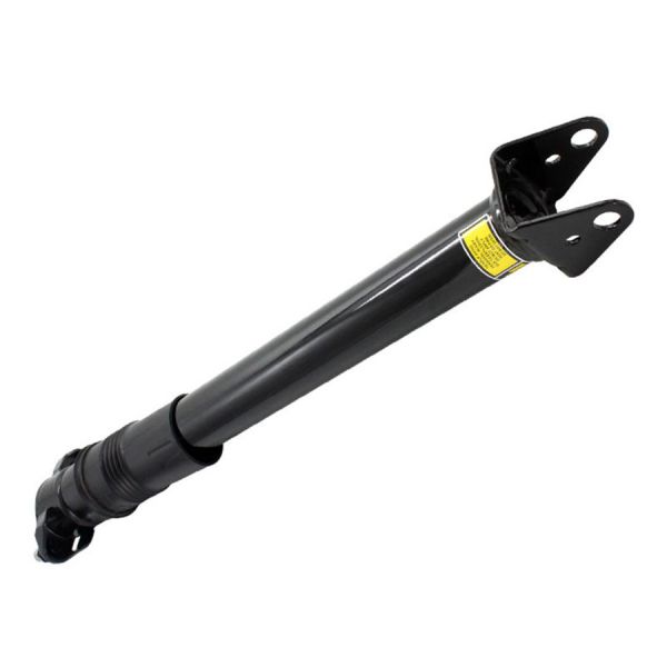 Rear Suspension Shock Mercedes - Benz W251 / R300 2513202231 2513201931
