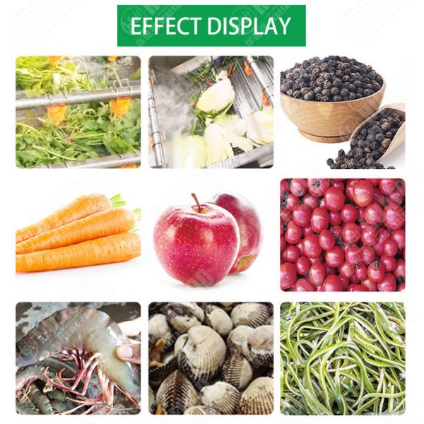 Fresh Mango Brush Roller 500kg/hour Vegetable Washing Machine