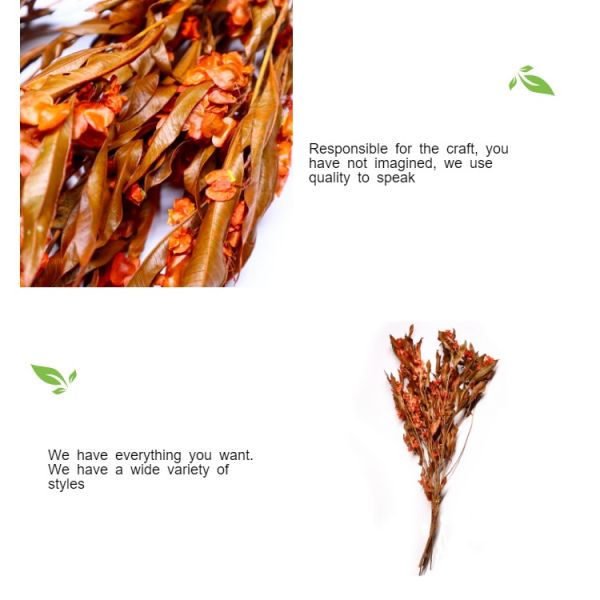 Natural Green Preserved Eucalyptus Leaves Real Touch Feel & Eco Friendly