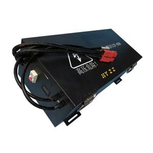 Quality Low Speed Lithium Battery Pack 112V 40AH for sale