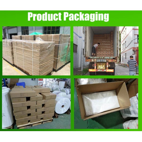 Transparent Custom Order Poly Mailer Plastic Mailing Bag for Product Shipping Packaging