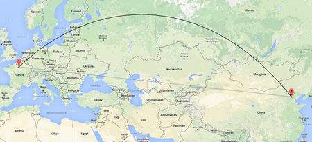 Time Saving Agility Global Integrated Logistics Full Container Bulk Cargos