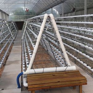 Quality Water Efficient NFT Hydroponics System With Automated Management for sale